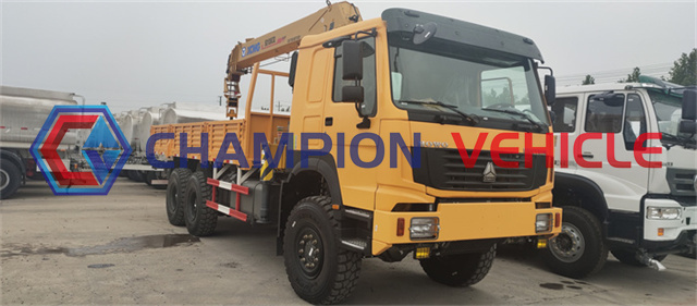 HOWO 6x4 Work Platform Crane Truck